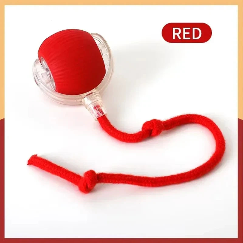 Cat interactive training automatic moving ball kitten electric ball toy automatic rolling magic ball toy cat