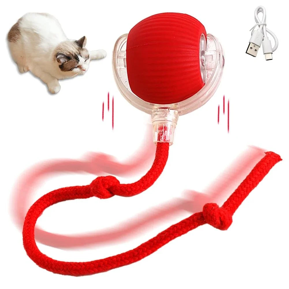 Cat interactive training automatic moving ball kitten electric ball toy automatic rolling magic ball toy cat